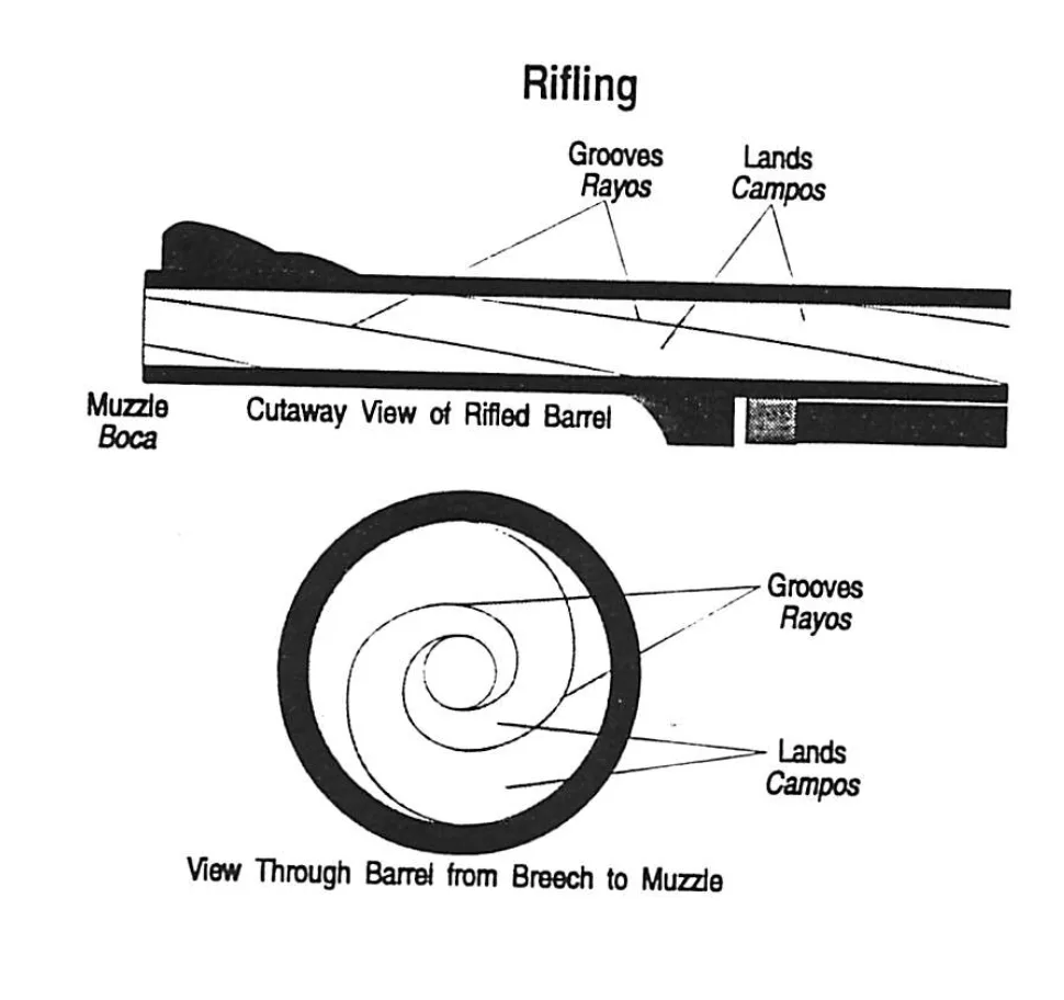 Key Features: The Science Behind the Accuracy