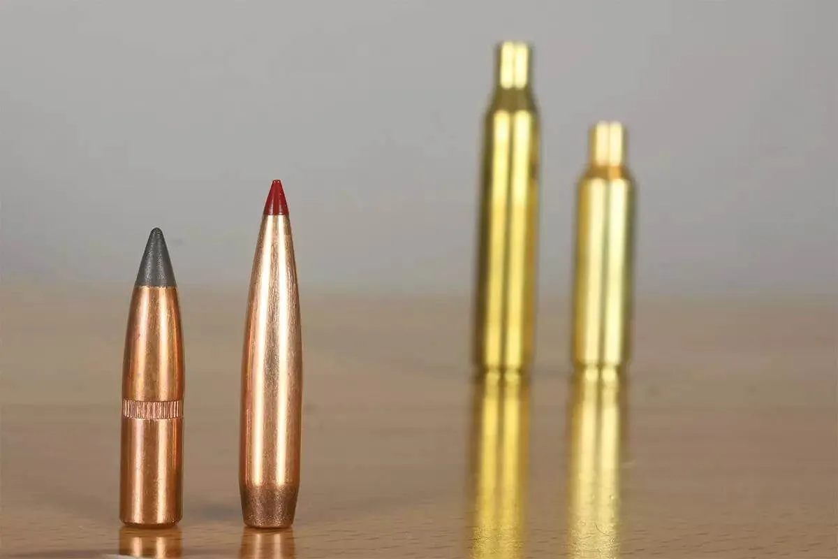 Lighter Bullets vs. Heavier Bullets