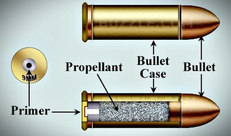 What's Really Inside a Box of Ammunition?